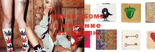хмурый Алексин