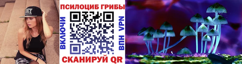 сколько стоит  Красково  Псилоцибиновые грибы Psilocybe 